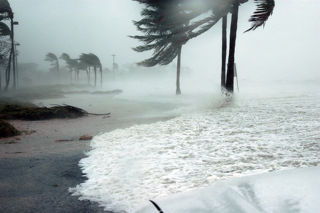 image of hurricane hilary